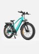 ENGWE E26HS E-Bike Férfi Vázas Fatbike Elektromos Kerékpár 250W 48V 16Ah 25 km/h