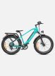ENGWE E26HS E-Bike Férfi Vázas Fatbike Elektromos Kerékpár 250W 48V 16Ah 25 km/h