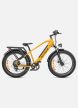 ENGWE E26HS E-Bike Férfi Vázas Fatbike Elektromos Kerékpár 250W 48V 16Ah 25 km/h