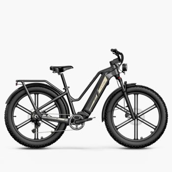   FIIDO Titan E-bike Vastag Kerekű Elektromos Kerékpár 250W 48V 14.5Ah (696Wh) 25 km/h