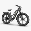 FIIDO Titan E-bike Vastag Kerekű Elektromos Kerékpár 250W 48V 14.5Ah (696Wh) 25 km/h