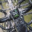FIIDO Titan E-bike Vastag Kerekű Elektromos Kerékpár 250W 48V 14.5Ah (696Wh) 25 km/h