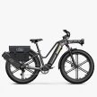 FIIDO Titan E-bike Vastag Kerekű Elektromos Kerékpár 250W 48V 14.5Ah (696Wh) 25 km/h